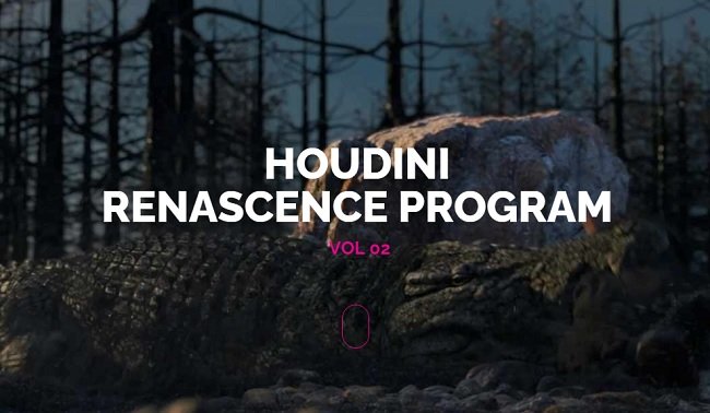 The VFX School Houdini Renascence Program Vol 2