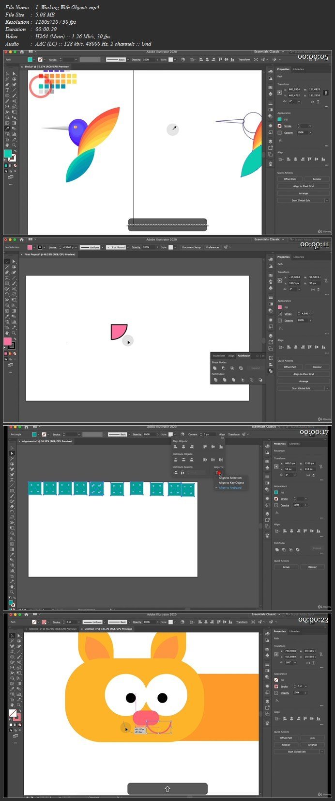 Adobe Illustrator Mega Course