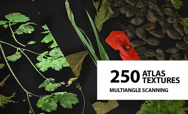 Artstation Huge atlas pack 250 Foliage Spice Decals