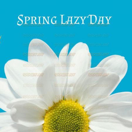 Chill Lounge Music Zone Spring Lazy Day Relaxing Jazz Melodies to Feel Good 2021