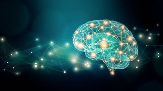Neuroplasticity The Ultimate Brain Rewiring Formula 3 0