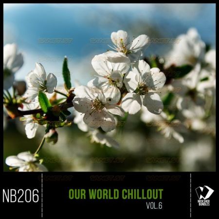 Various Artists Our World Chillout Vol 6 2021