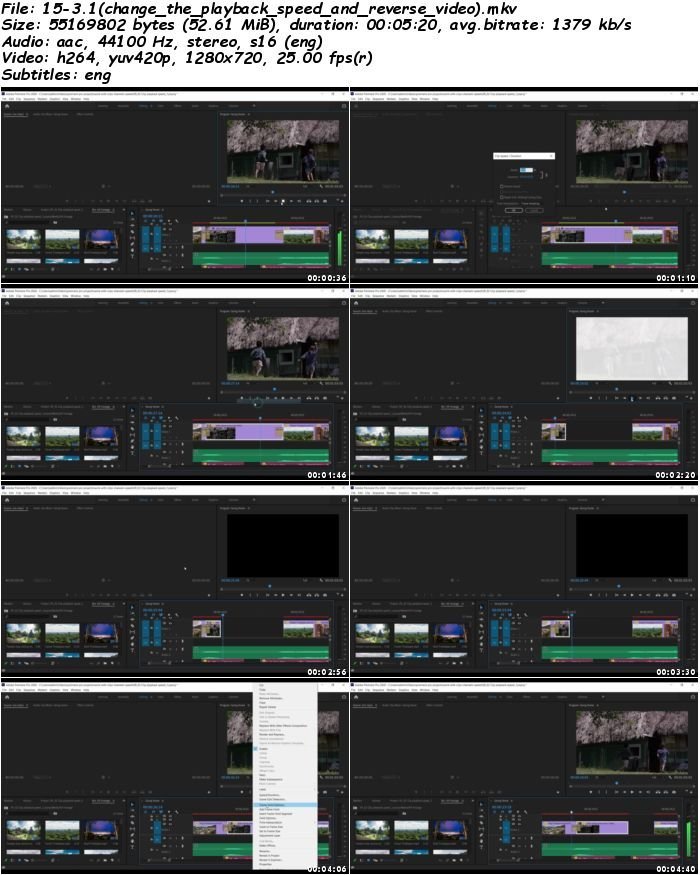 Premiere pro 2021 : From beginning to pro level