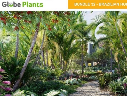 Globe Plants Bundle 32 Brazilian Home Garden Plants 3D Models
