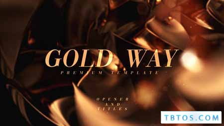 Videohive Gold Way