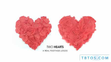 Videohive Two Hearts Logos