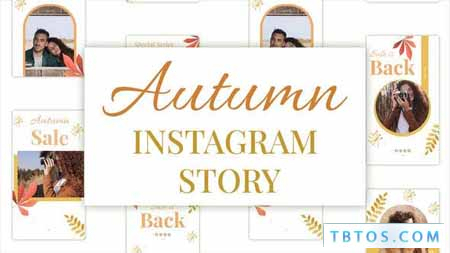 Videohive Autumn Sale Instagram Stories