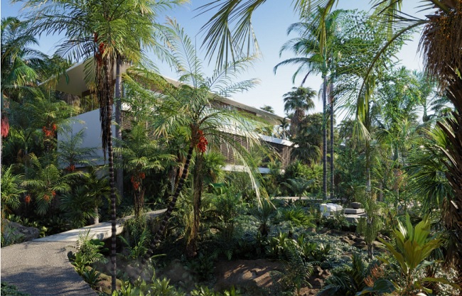 Globe Plants Bundle 15 Palm World