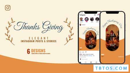 Videohive Thanksgiving Day Instagram Sale B162