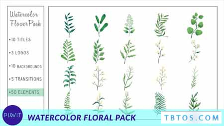 Videohive Watercolor Flower Pack