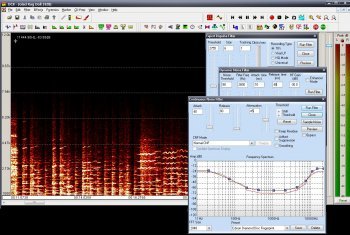 Diamond Cut Audio Restoration Tools 10 80