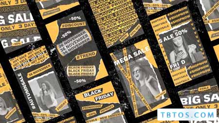 Videohive Black Friday Stories