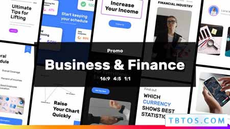 Videohive Business and Finance Slideshow Stories and Posts