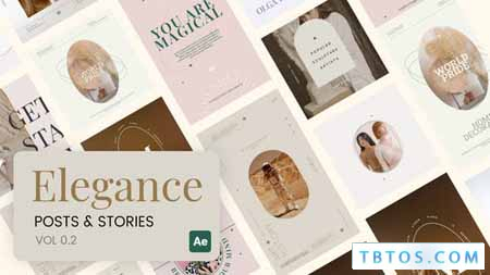 Videohive Elegance Stories and Posts Vol 02