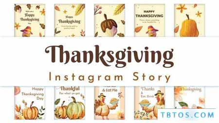 Videohive Thanksgiving Instagram Story Pack 02