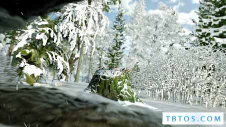 Videohive Winter Forest Nature Logo