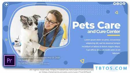 Videohive Pets Care and Cure Center