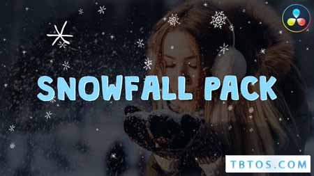 Videohive Snowfall Pack DaVinci Resolve
