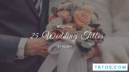 Videohive Wedding Titles