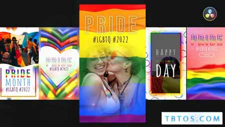 Videohive LGBTQ Instagram Stories Pack