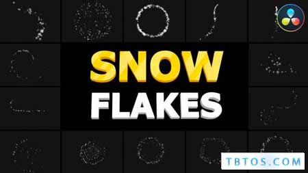 Videohive Snow Flakes 01 DaVinci Resolve