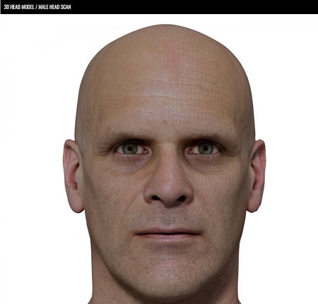 3D Scan Store Retopologised Male Head 022