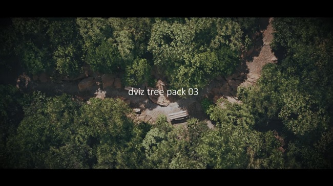 DVIZ Unreal Engine Tree and Forest Pack 03