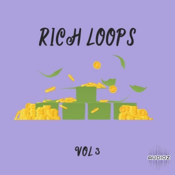DiyMusicBiz Rich Loop Vol 3 WAV FANTASTiC
