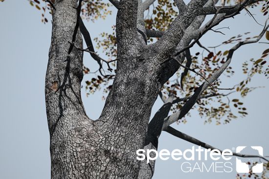 SpeedTree Games 9 0 1 Enterprise Win x64