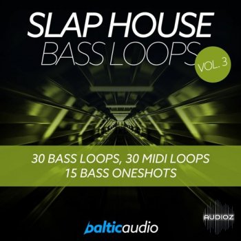 Baltic Audio Slap House Bass Loops Vol 3 WAV MiDi