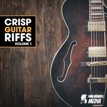 New Beard Media Crisp Guitar Riffs Vol 1 WAV FANTASTiC