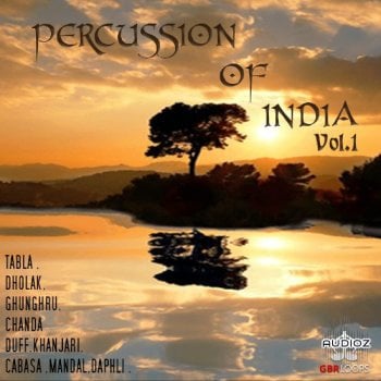 GBR Percussion Percussion Of India Vol.1 WAV REX KONTAKT-FANTASTiC screenshot