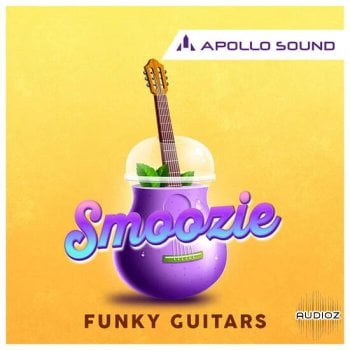 Apollo Sound Smoozie Funky Guitars WAV KONTAKT REX-DECiBEL screenshot
