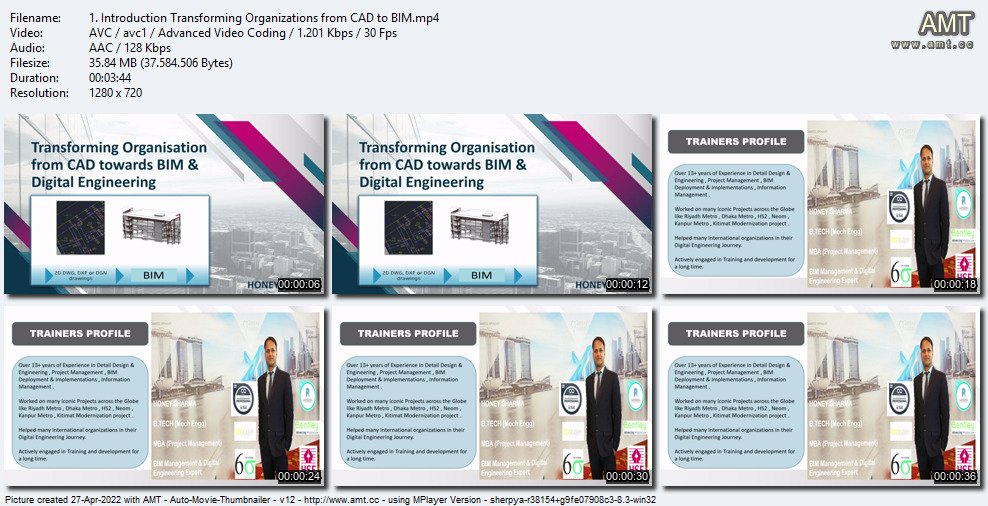 Transforming Organizations from CAD to BIM (CAD to BIM)