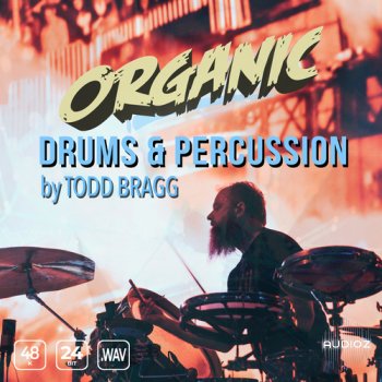 Epic Stock Media Organic Drums and Percussion by Todd Bragg WAV FANTASTiC