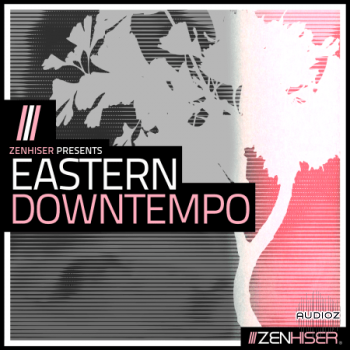 Zenhiser Eastern Downtempo WAV-FANTASTiC screenshot