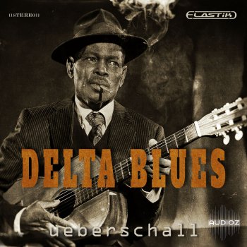 Ueberschall Delta Blues ELASTIK