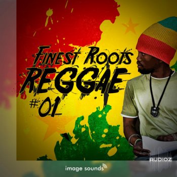 Steinberg Finest Roots Reggae 1 VSTSOUND screenshot