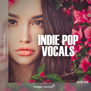 Steinberg Indie Pop Vocals VSTSOUND screenshot