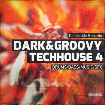 Delectable Records Dark And Groovy TechHouse 04 WAV FANTASTiC
