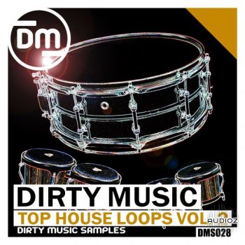 Dirty Music Top House Loops Vol 2 WAV FANTASTiC