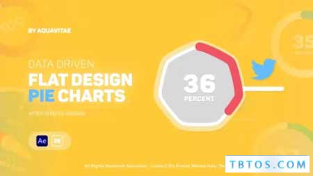 Videohive Flat Infographics Pie Charts