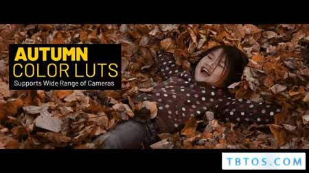 Videohive Autumn LUTs for Final Cut