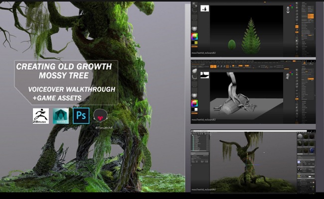 Artstation Creating Old Growth Mossy Tree Tutorial and Game Assets