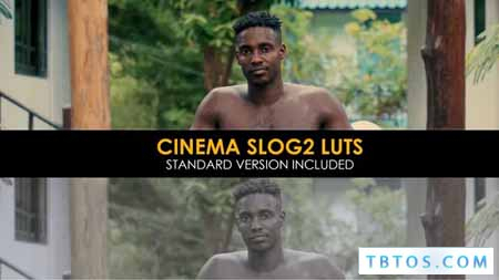 Videohive Cinema Slog2 and Standard Luts for Final Cut