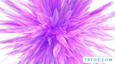Videohive Pink Flower Logo Reveal