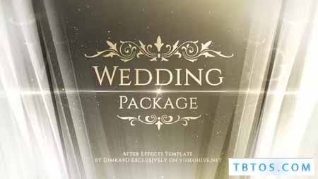 Videohive Wedding Package