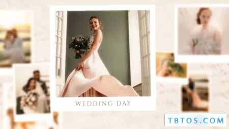 Videohive Wedding Slideshow