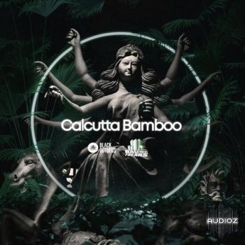 Black Octopus Sound Basement Freaks Presents Calcutta Bamboo WAV DECiBEL