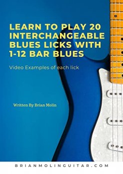 Learn To Play 20 Interchangeable Blues Licks With 1 12 Bar Blues Beginner to Intermediate Levels